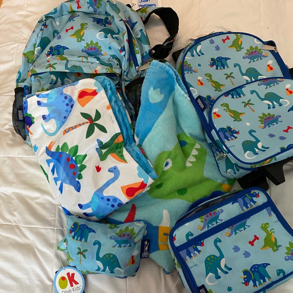 Wildkin dinosaur items
